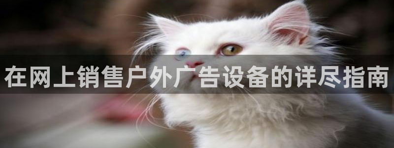 杏宇平台代理怎么赚钱：在网上销售户外广告设备的详尽指南