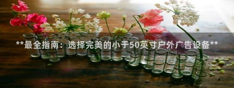 杏宇平台登录方法：**最全指南：选择完美的小于50英寸户外广告设备**