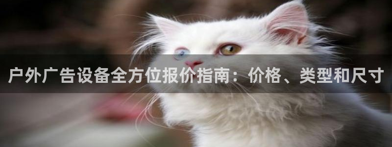 杏宇平台代理怎么赚钱的：户外广告设备全方位报价指南：价格、类型和尺寸