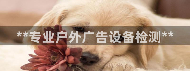 杏宇平台代理怎么样可靠吗