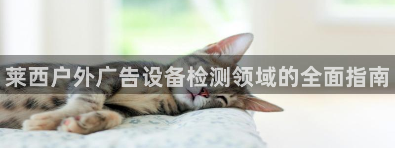 杏宇平台总代理是谁：莱西户外广告设备检测领域的全面指南