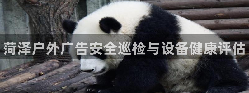 杏宇平台代理