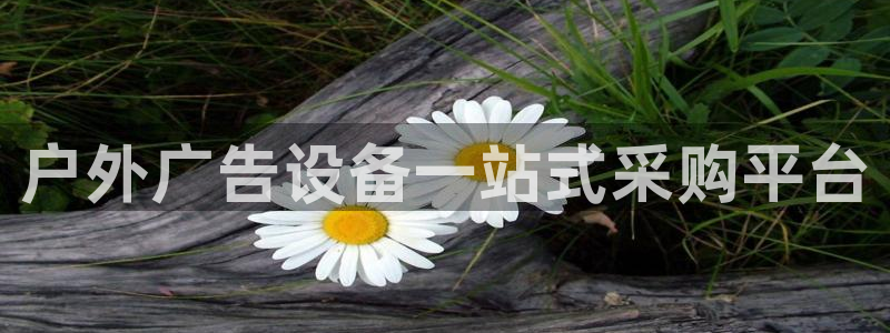 杏宇平台注册地址在哪里