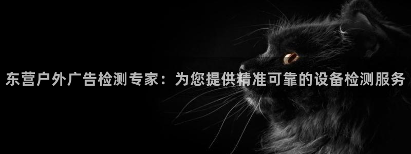 杏宇平台代理多少钱一个月：东营户外广告检测专家：为您提供精准可靠的设备检测服务