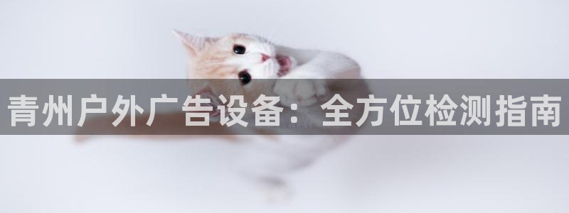 杏宇官方平台官网