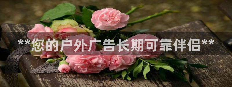 杏宇平台招商