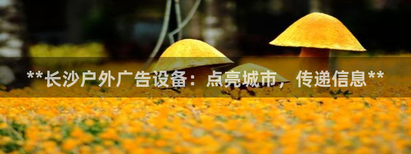 杏宇平台注册登录：**长沙户外广告设备：点亮城市，传递信息**