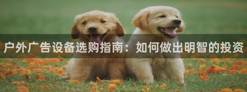 杏宇平台代理怎么赚钱：户外广告设备选购指南：如何做出明智的投资