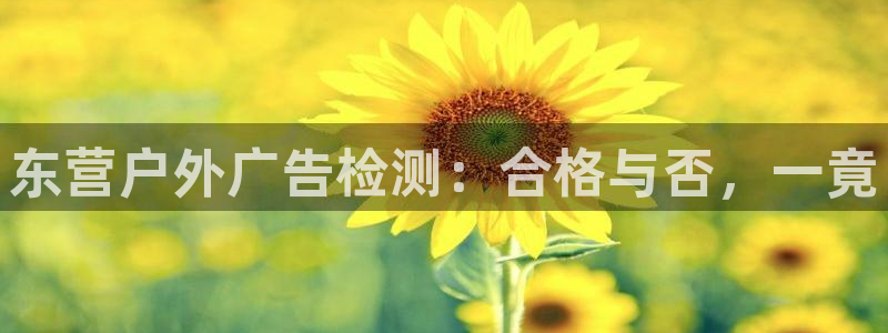 杏宇平台提现为什么这么久呢