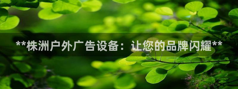 杏宇平台登录方法：**株洲户外广告设备：让您的品牌闪耀**