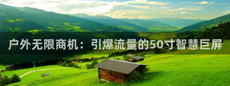 杏宇平台怎么样赚钱