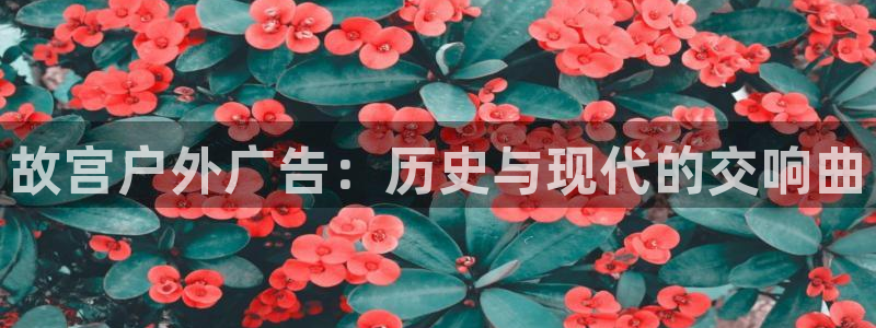 杏宇平台官网注册