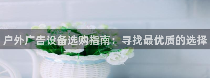 杏宇平台总代理电话