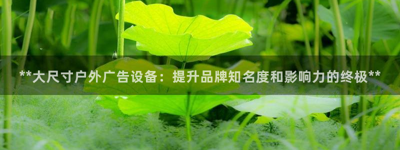 杏宇平台是什么：**大尺寸户外广告设备：提升品牌知名度和影响力的终极**