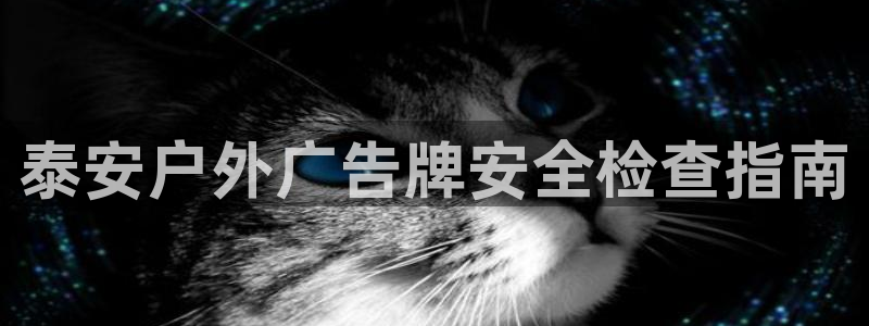 杏宇平台总代理