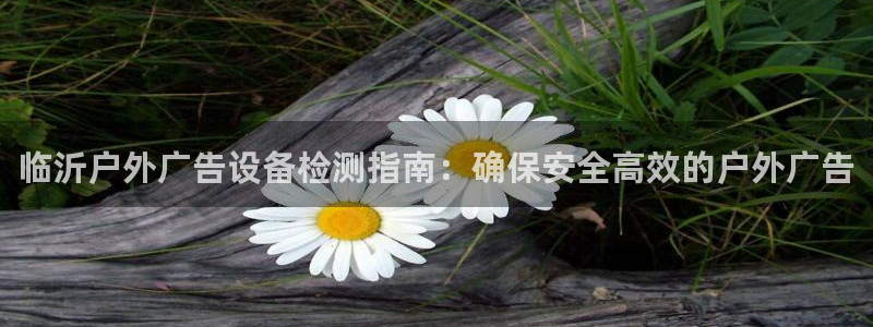杏宇平台总代理