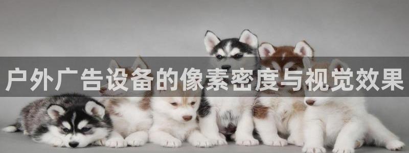 杏宇平台总代理是谁
