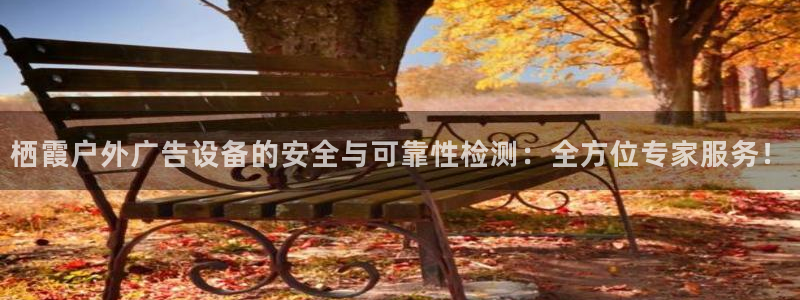 杏宇平台测速链接：栖霞户外广告设备的安全与可靠性检测：全方位专家服务！