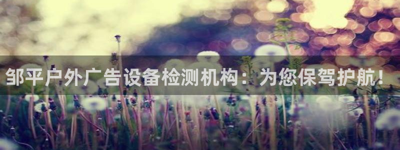 杏宇代理注册：邹平户外广告设备检测机构：为您保驾护航！