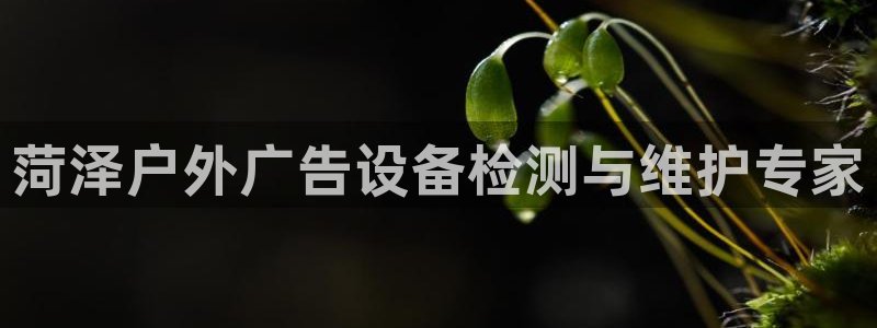 杏宇平台代理：菏泽户外广告设备检测与维护专家