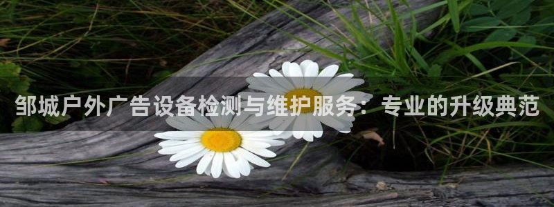 杏宇平台测速链接：邹城户外广告设备检测与维护服务：专业的升级典范