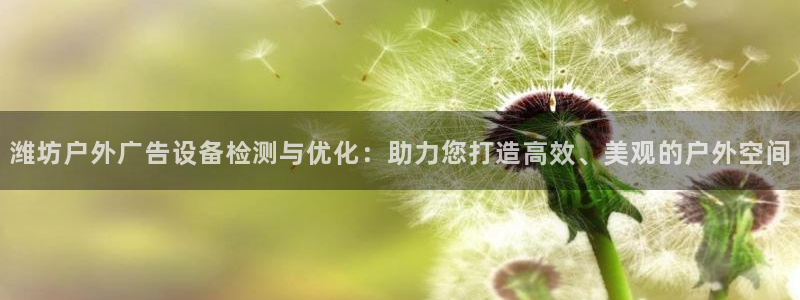 杏宇平台代理怎么样赚钱：潍坊户外广告设备检测与优化：助力您打造高效、美观的户外空间