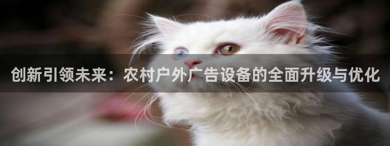 杏宇平台代理怎么样可靠吗：创新引领未来：农村户外广告设备的全面升级与优化