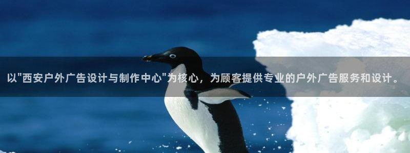 杏宇官方平台官网入口：以\