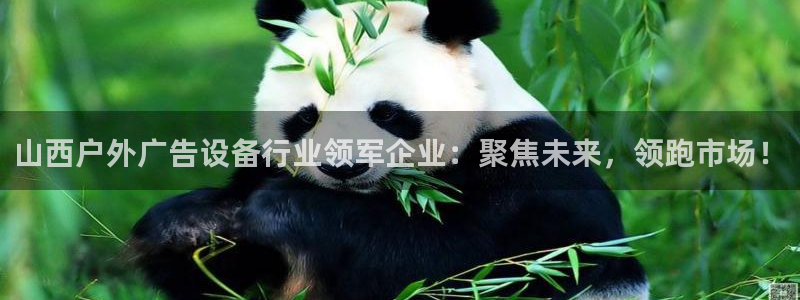杏宇平台登录方法：山西户外广告设备行业领军企业：聚焦未来，领跑市场！