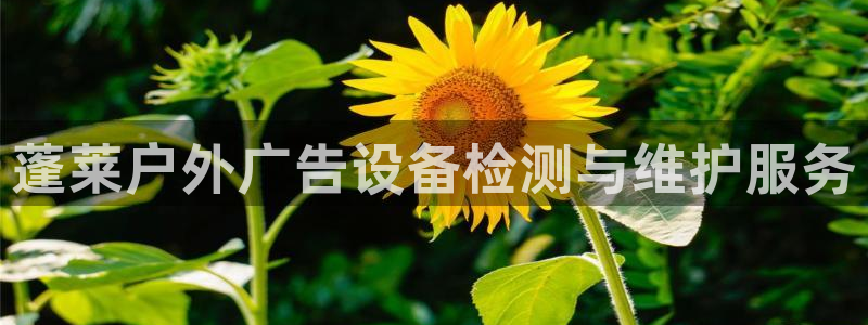 杏宇平台代理：蓬莱户外广告设备检测与维护服务