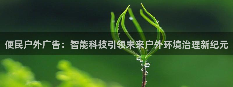 杏宇平台主管：便民户外广告：智能科技引领未来户外环境治理新纪元