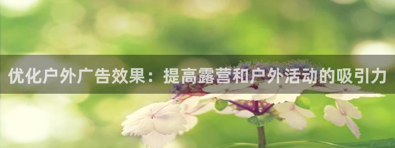杏宇平台是什么：优化户外广告效果：提高露营和户外活动的吸引力