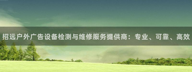 杏宇平台代理怎么赚钱：招远户外广告设备检测与维修服务提供商：专业、可靠、高效