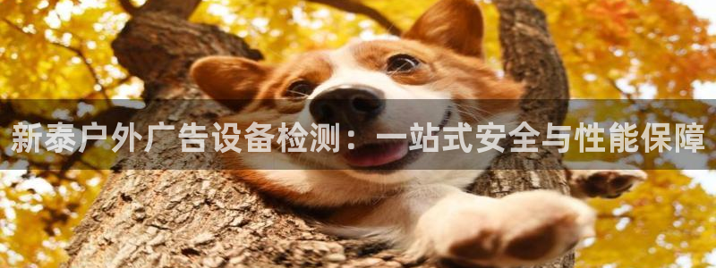 杏宇平台代理多少钱一个：新泰户外广告设备检测：一站式安全与性能保障