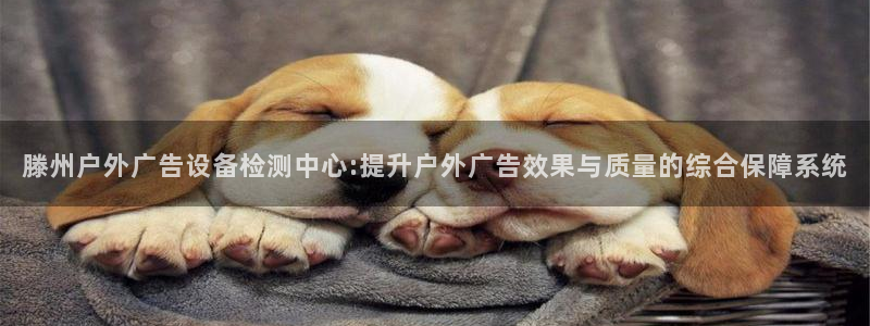 杏宇平台登录步骤：滕州户外广告设备检测中心:提升户外广告效果与质量的综合保障系统