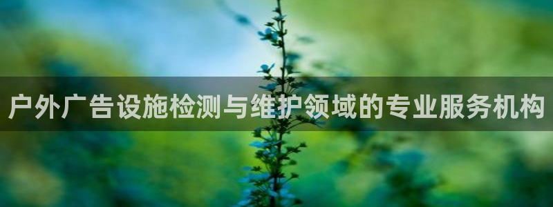 杏宇平台总代理：户外广告设施检测与维护领域的专业服务机构