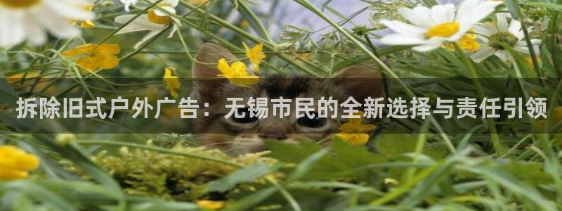 杏宇平台总代理：拆除旧式户外广告：无锡市民的全新选择与责任引领