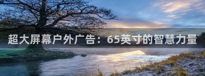 杏宇平台代理多少钱一次：超大屏幕户外广告：65英寸的智慧力量