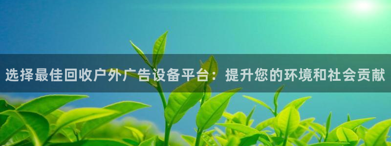 杏宇平台代理多少钱一个：选择最佳回收户外