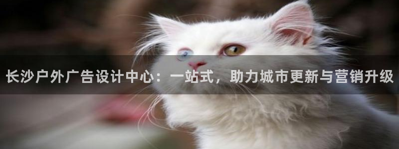 杏宇平台怎么样赚钱：长沙户外广告设计中心：一站式，助力城市更新与营销升级