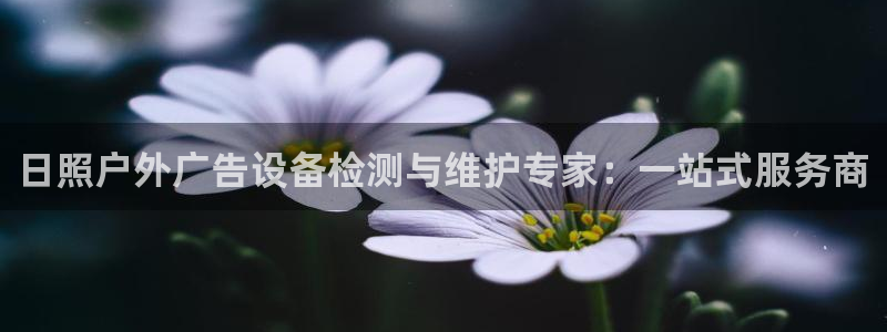 杏宇官方平台官网下载：日照户外广告设备检测与维护专家：一站式服务商