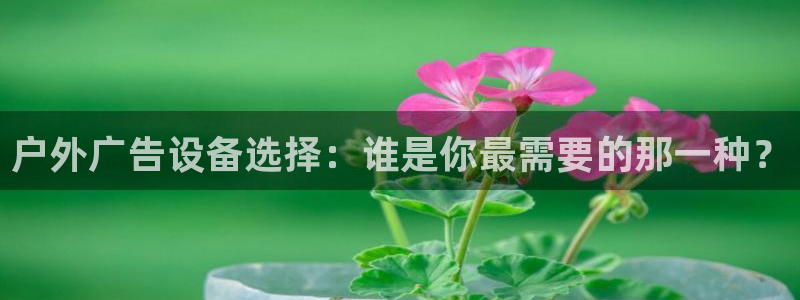 杏宇平台登陆：户外广告设备选择：谁是你最