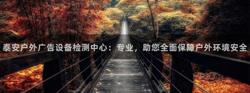 杏宇平台总代理电话：泰安户外广告设备检测中心：专业，助您全面保障户外环境安全