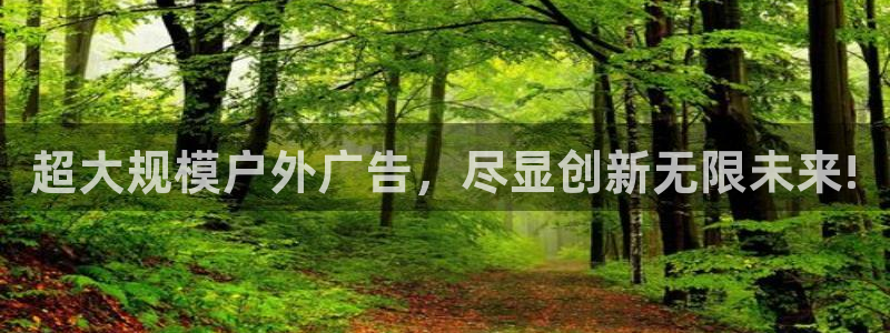 杏宇平台代理：超大规模户外广告，尽显创新无限未来!
