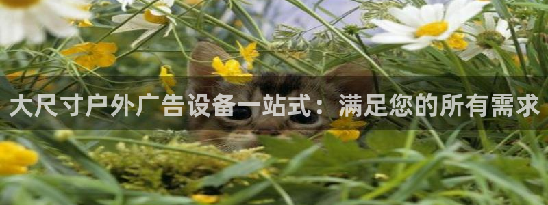 杏宇平台招商电话号码