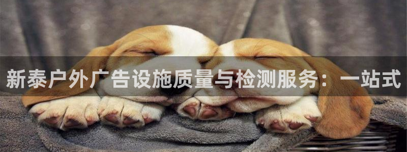 杏宇代理注册：新泰户外广告设施质量与检测服务：一站式