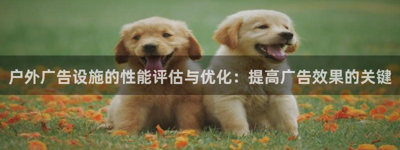 杏宇平台提现为什么这么久呢：户外广告设施