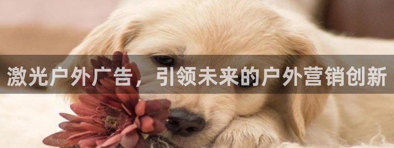 杏宇平台招商怎么样：激光户外广告，引领未来的户外营销创新