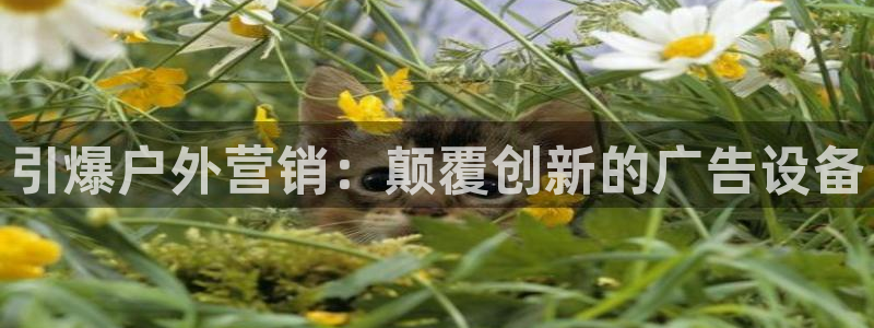 杏宇平台代理怎么样赚钱