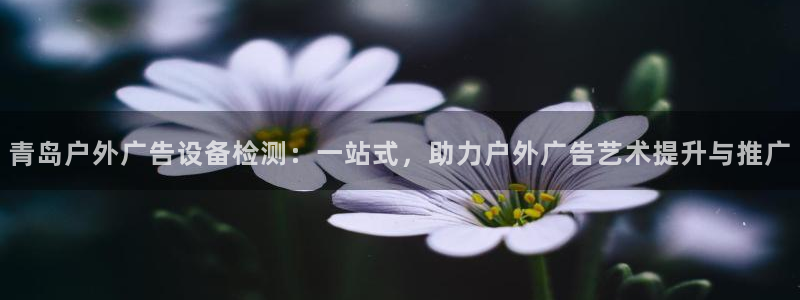 杏宇平台注册地址在哪里：青岛户外广告设备检测：一站式，助力户外广告艺术提升与推广